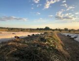Zambia – Preparation of new row for composting