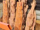 Exotic wood cut with Ritlee
