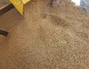 Ouhout chipped and ground